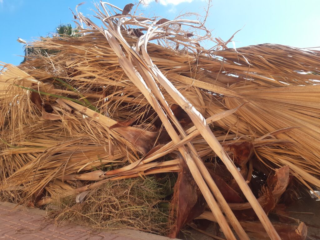 großer Haufen aus Palmenblättern und Blüten